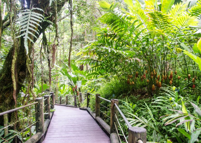 Botanical Garden at University of Hawaii - Hilo, United States